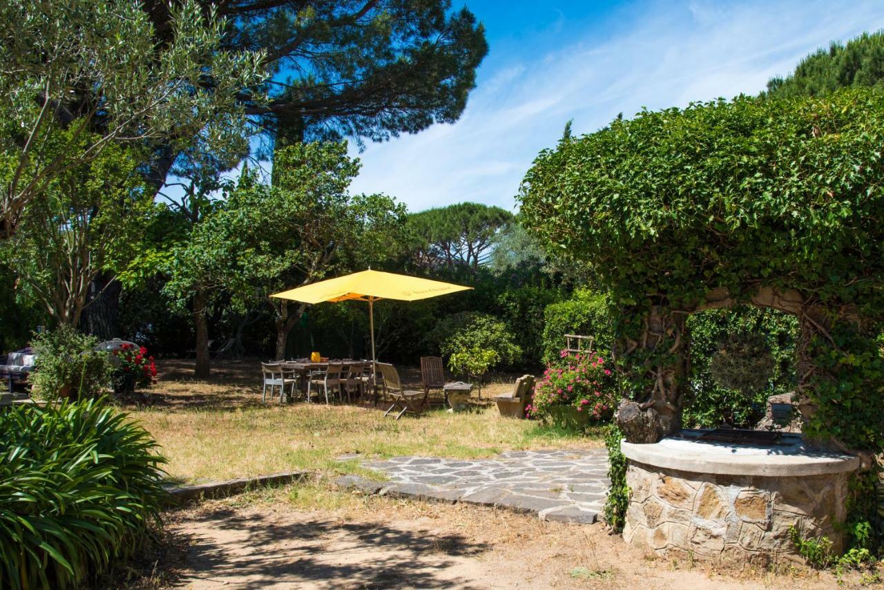 Charmante Petite Maison A L'Entree De Saint Tropez Eksteriør billede